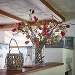 Apartments Enzian Rauris