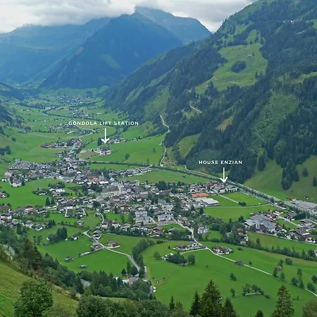 Enzian * Rauris